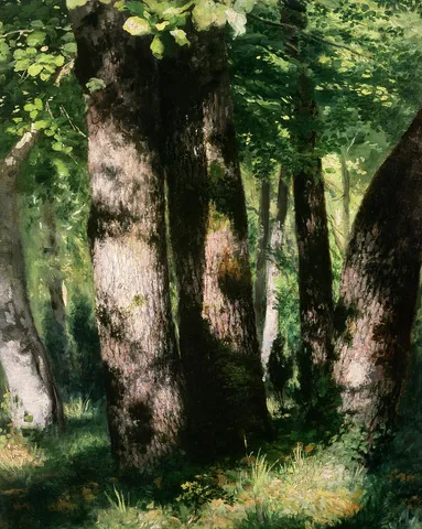 In the Forest of Fontainebleau