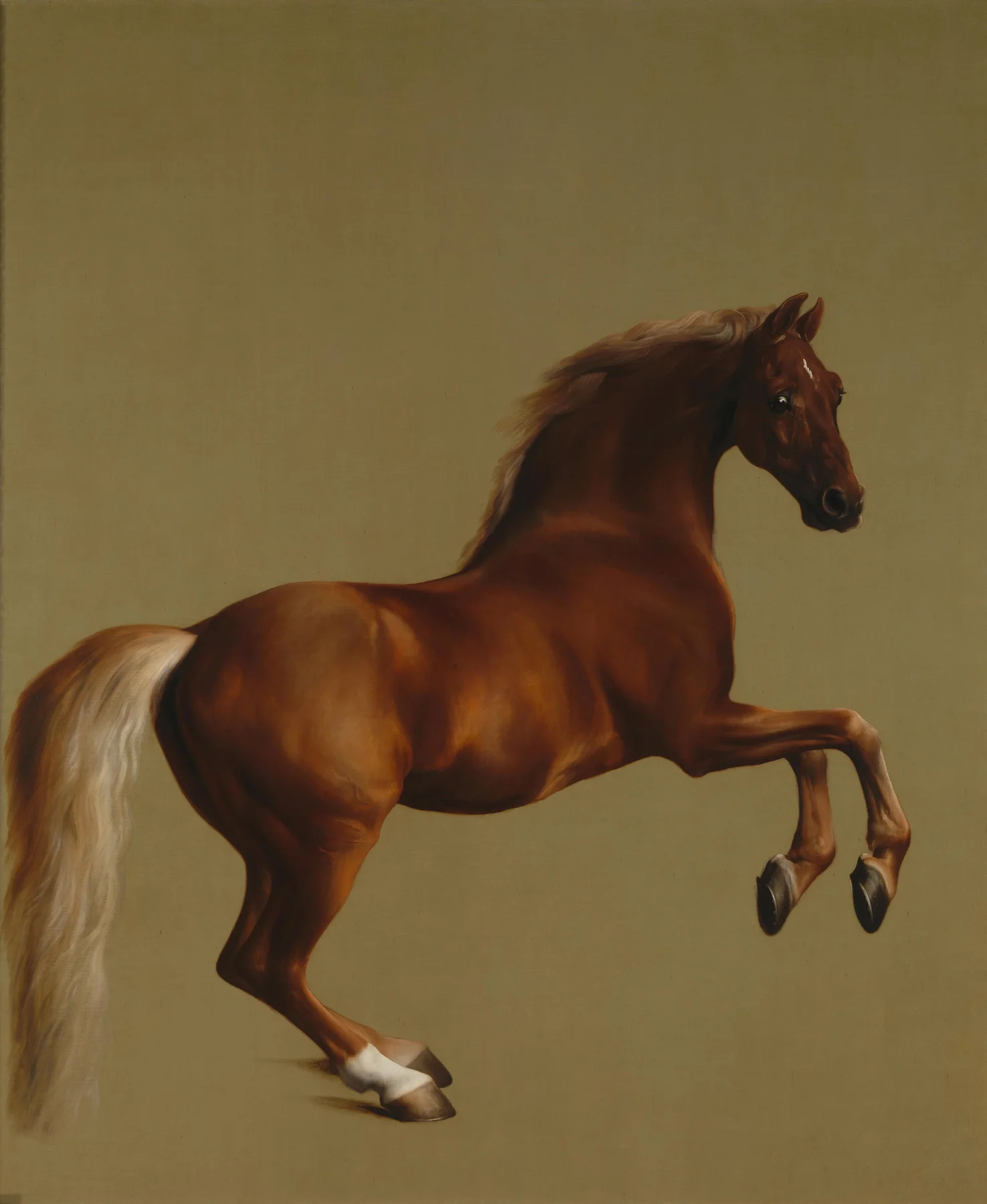 Whistlejacket — George Stubbs