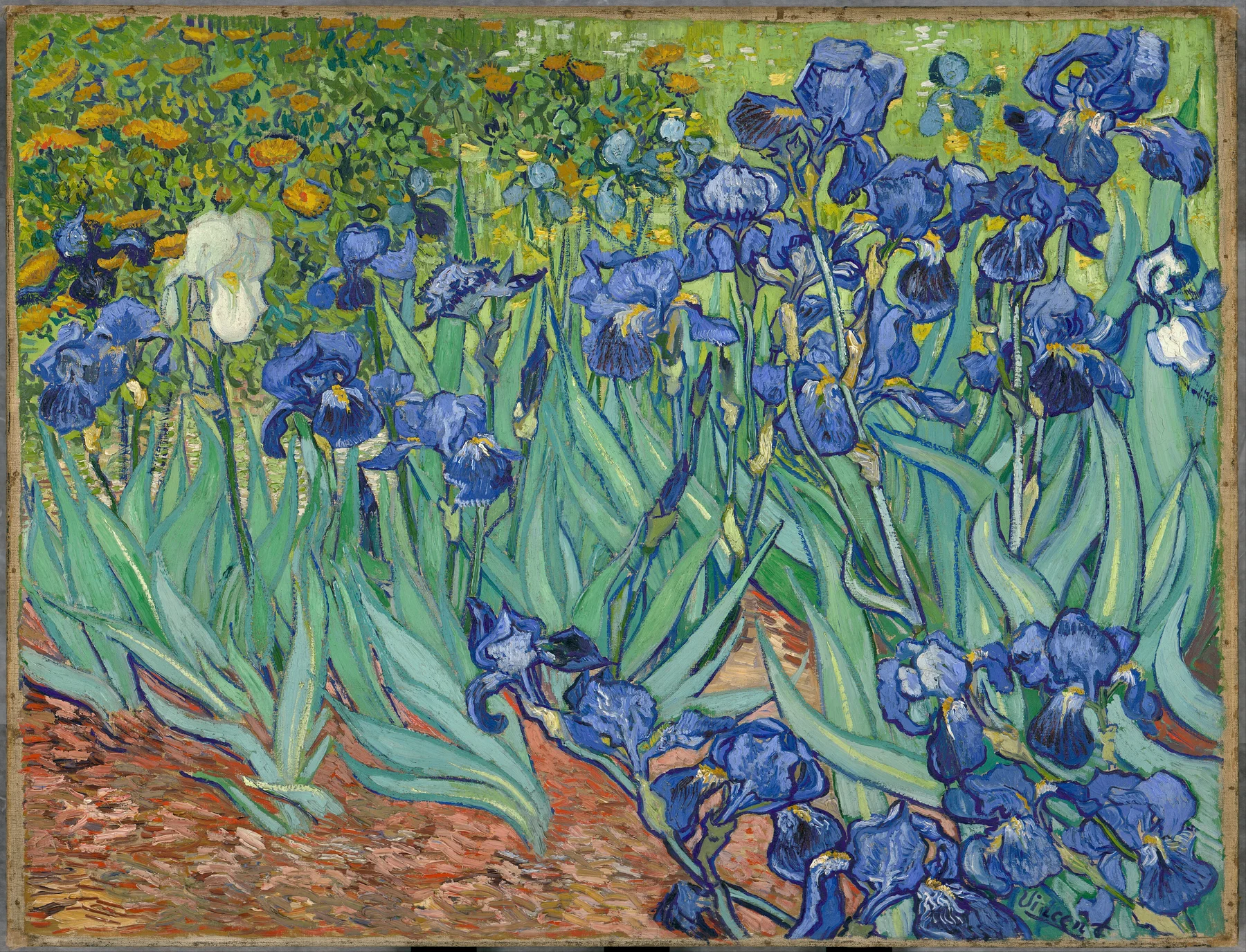 Les Iris — Vincent van Gogh