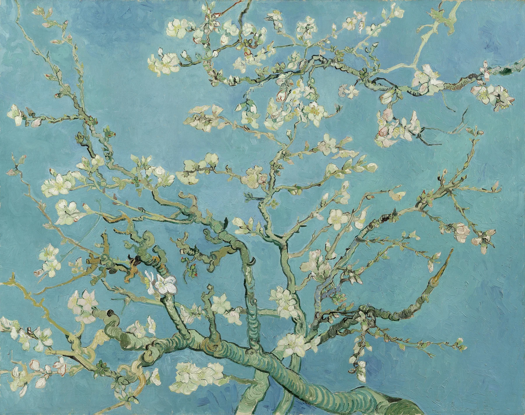 Almond Blossom — Vincent van Gogh