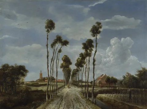 The Avenue at Middelharnis