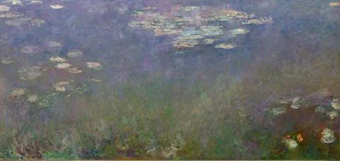 Water Lilies (Agapanthus)