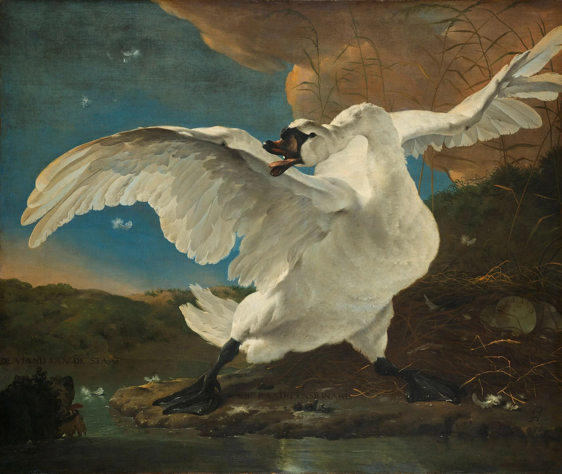 A fenyegetett hattyú — Jan Asselijn